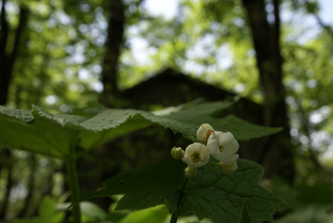 f0214649_2201429.jpg