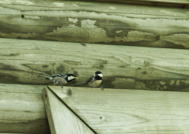 f0214649_22111860.jpg