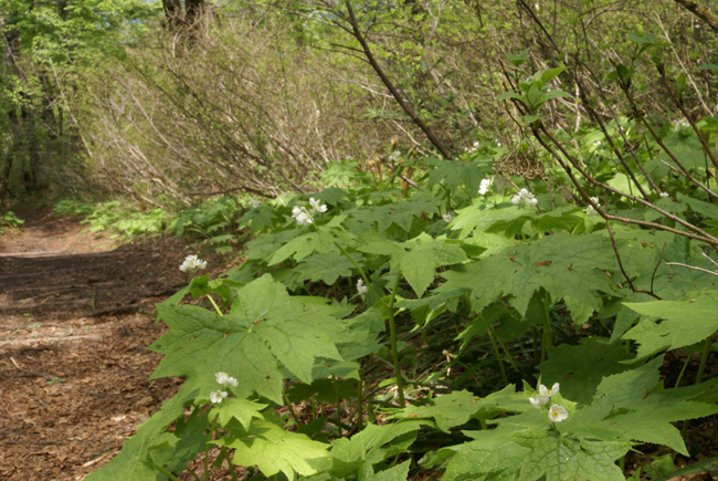 f0214649_22151153.jpg