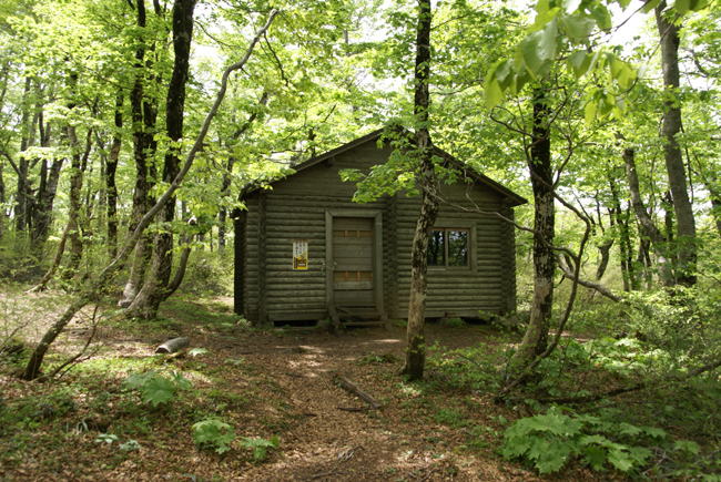 f0214649_2221305.jpg