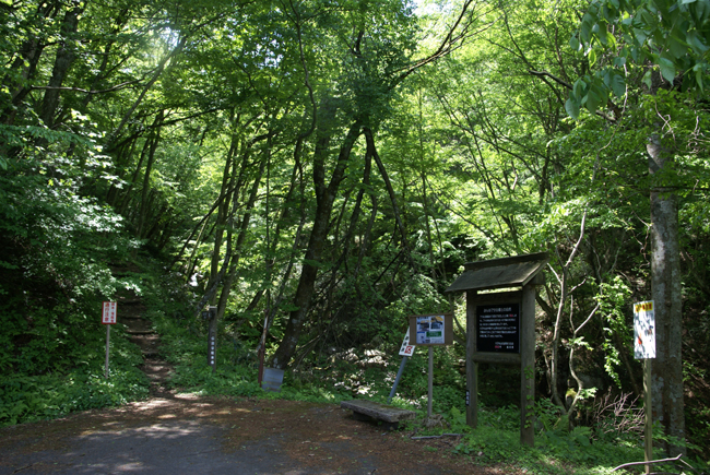 f0214649_45294.jpg