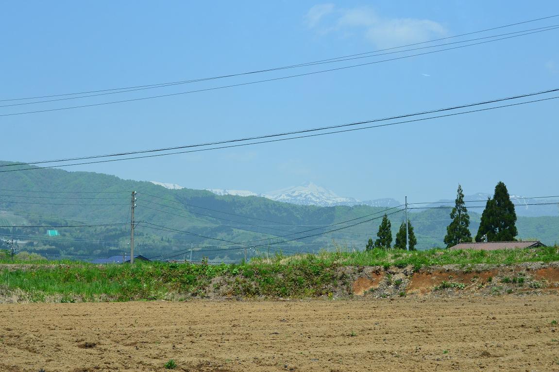 a0055650_20484137.jpg