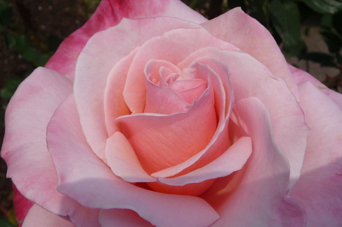e0002850_23554375.jpg