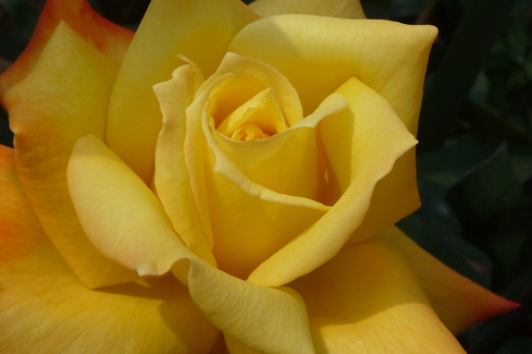 e0002850_23562416.jpg