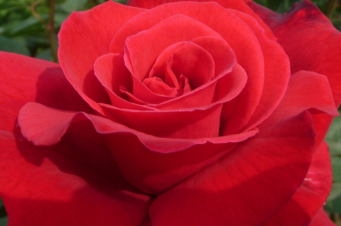 e0002850_23574754.jpg