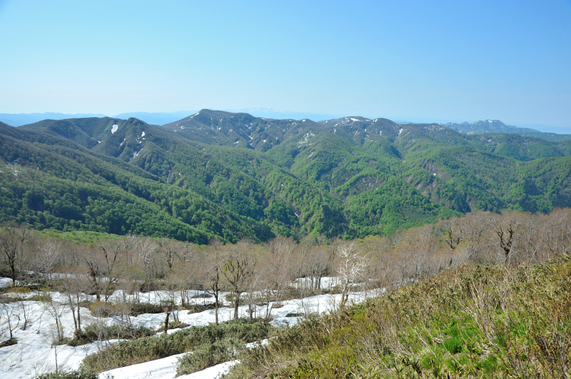 d0169556_18275439.jpg