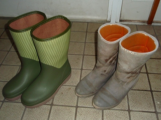 e0004756_208125.jpg