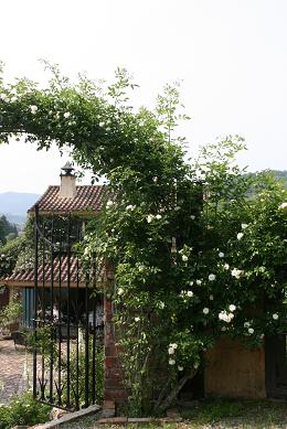 d0093459_2242491.jpg