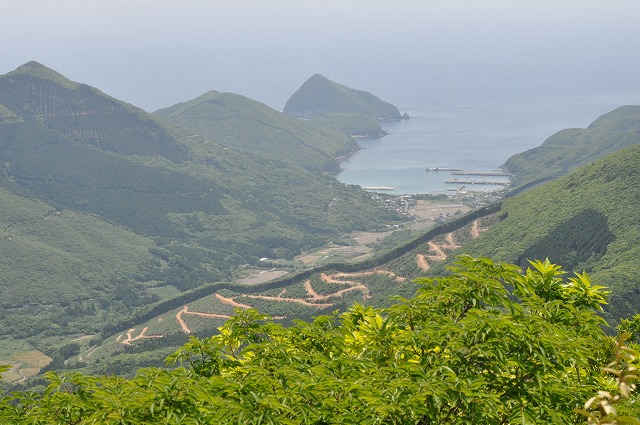b0104861_17145545.jpg