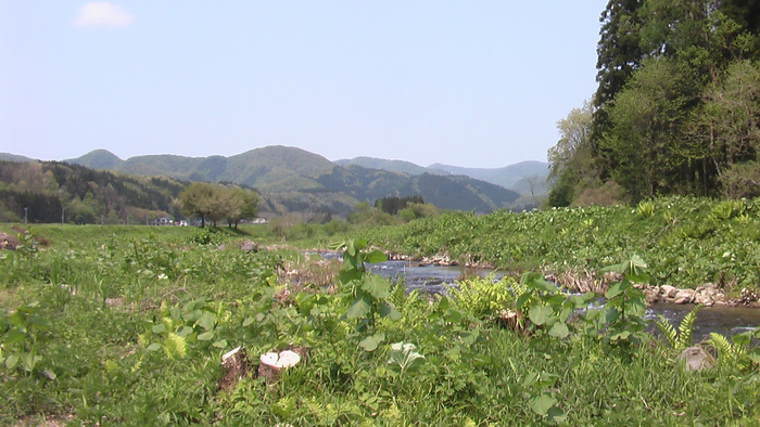 b0208961_1047151.jpg