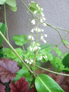 e0225164_13412783.jpg