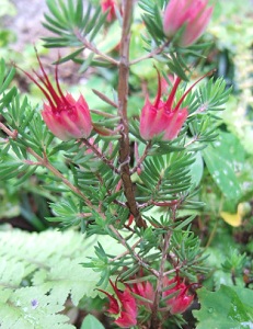 e0225164_434284.jpg