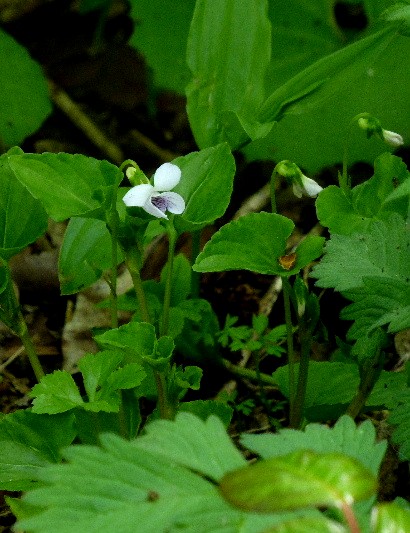 d0084473_21171021.jpg