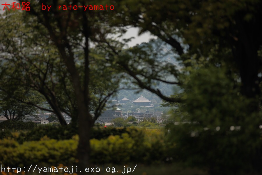 f0236776_15205460.jpg