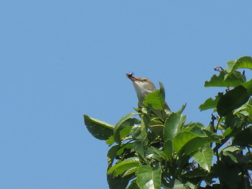 e0098079_10312751.jpg