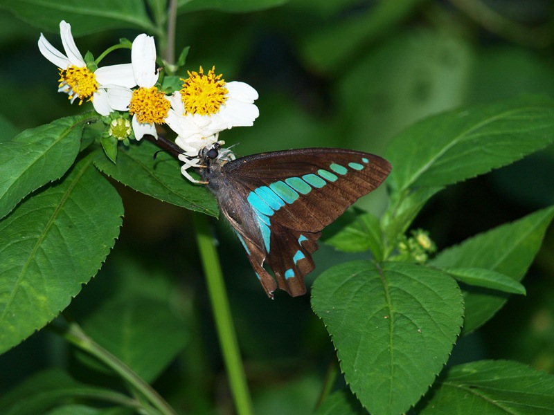 f0083281_13522019.jpg