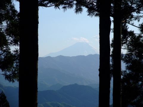 a0043982_1840046.jpg