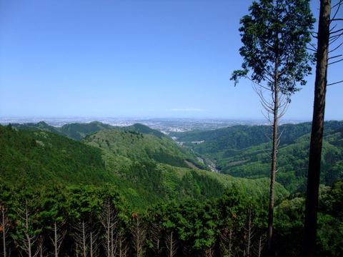 a0043982_18412139.jpg