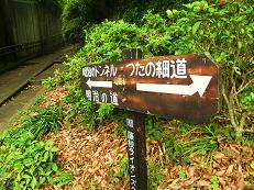 e0100584_23163827.jpg
