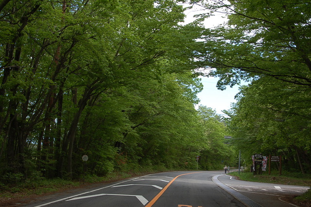 b0203588_1613427.jpg