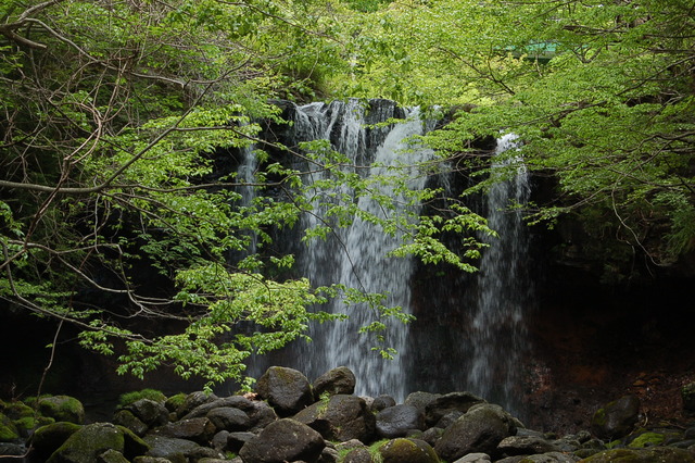 b0203588_16141438.jpg