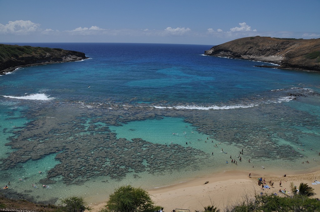 c0240388_1257787.jpg