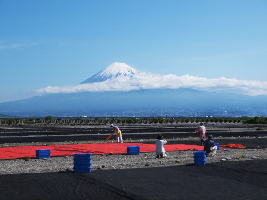 f0103688_2132576.jpg