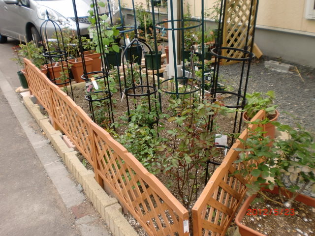 a0279990_10101544.jpg