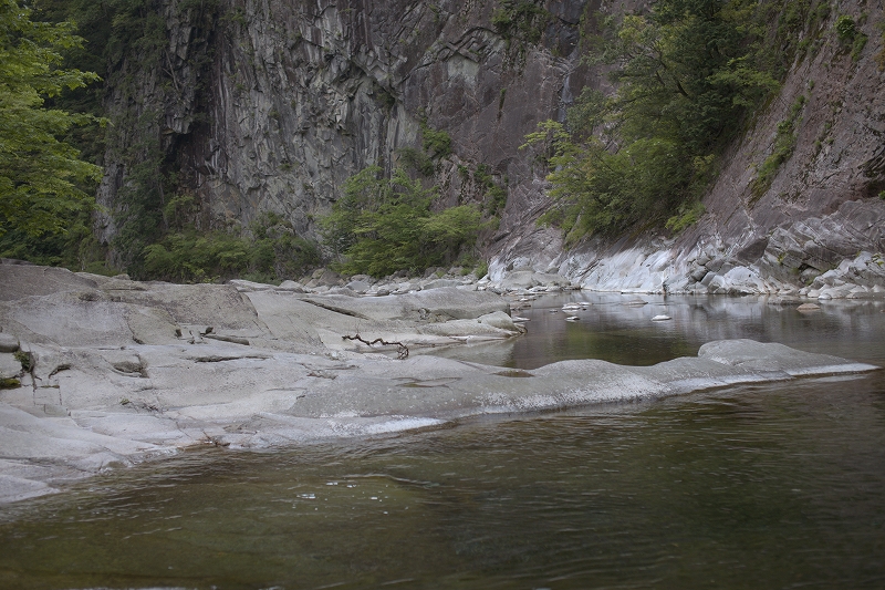 e0185090_1321255.jpg