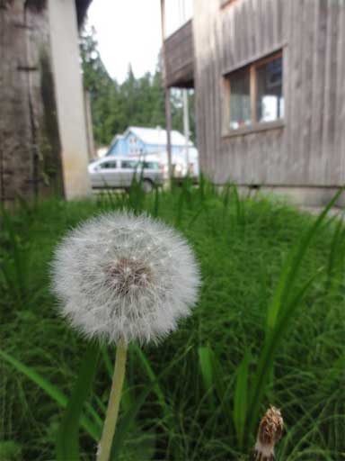 a0061599_735379.jpg