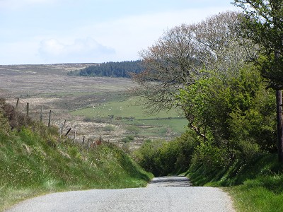 b0110999_483057.jpg