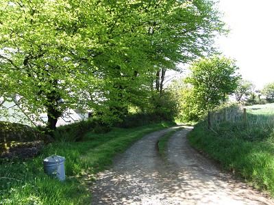 b0110999_485794.jpg