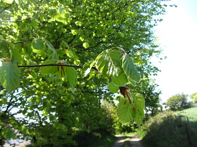 b0110999_49982.jpg