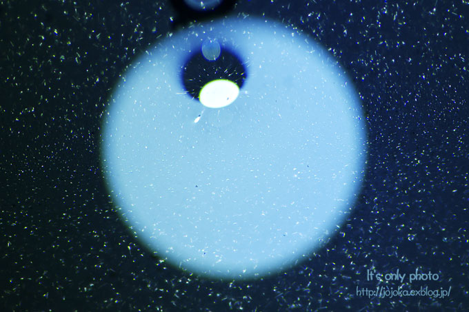 e0008800_01148100.jpg