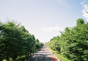 b0168801_21543747.jpg