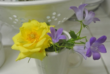 a0134004_22593880.jpg