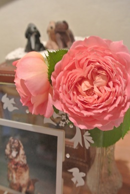 a0134004_230731.jpg