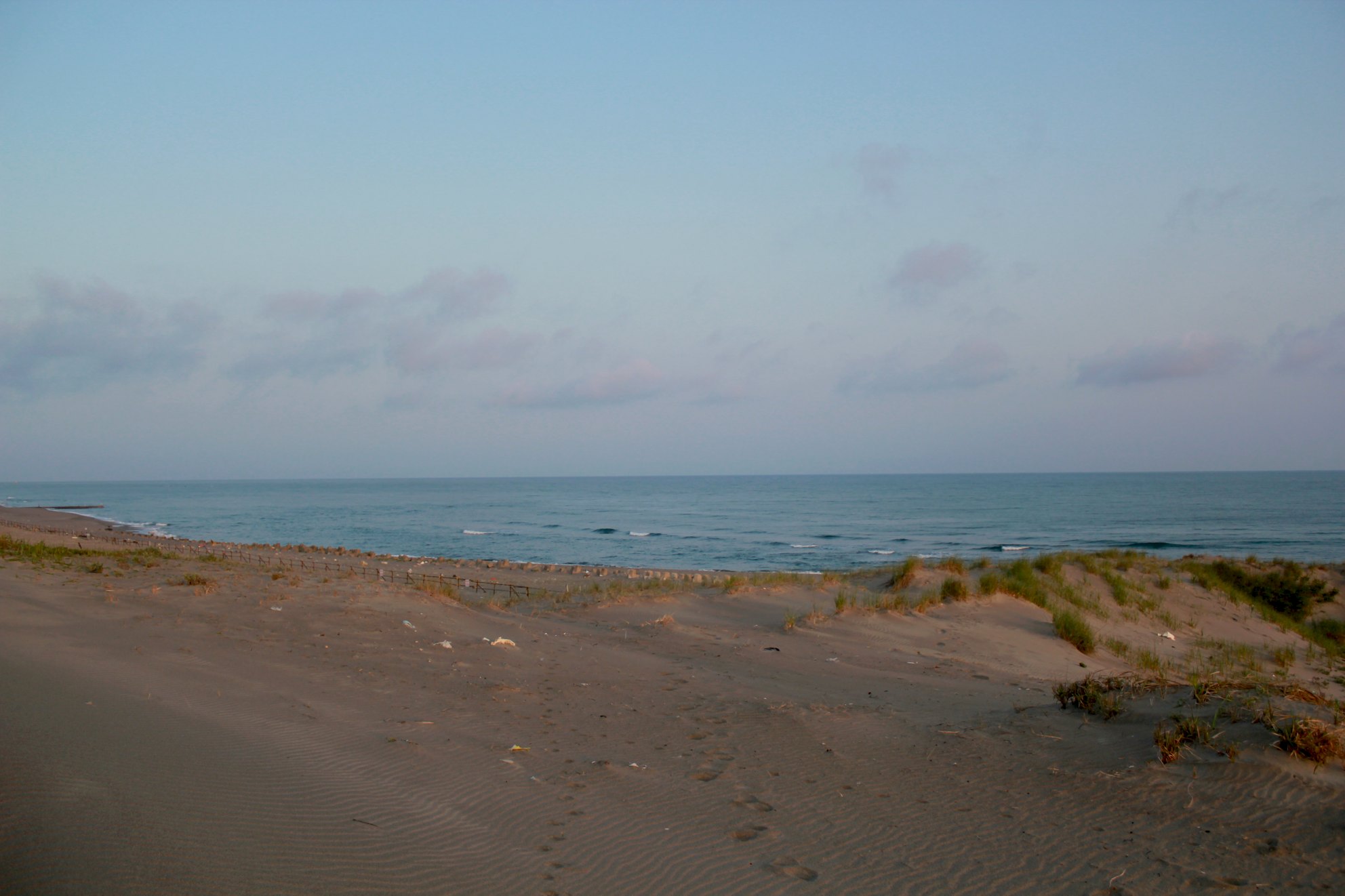 a0264604_750413.jpg