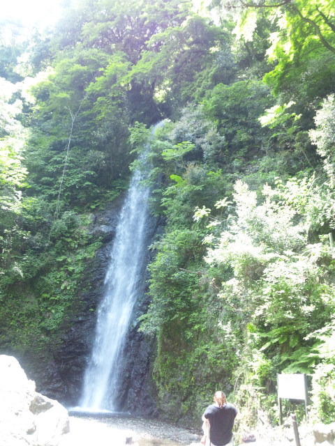 d0117011_43932.jpg