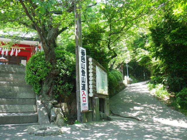 d0006512_2032531.jpg