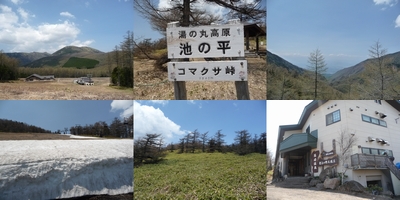 d0150013_21342061.jpg