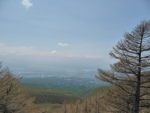 d0150013_2139273.jpg