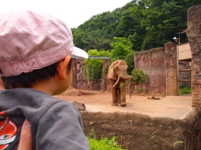 a0151615_1112128.jpg
