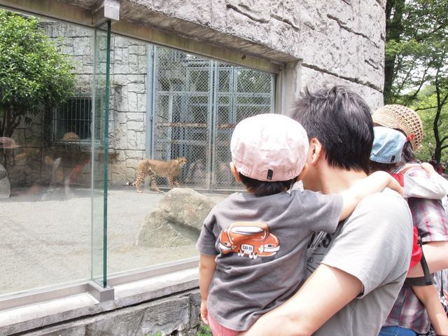 a0151615_15569.jpg