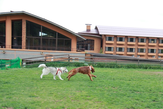 b0207615_19384518.jpg