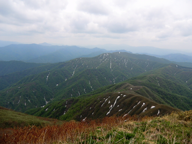 d0170615_203514.jpg