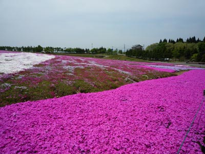 c0227720_21123226.jpg