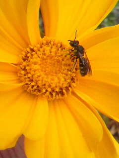 f0036223_14201363.jpg
