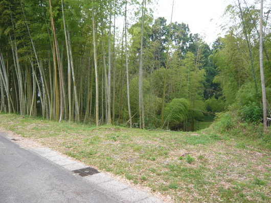 a0206332_94252.jpg