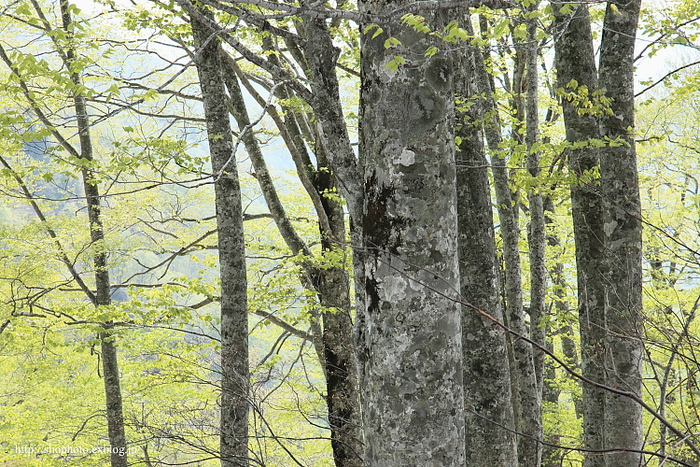c0189533_161718.jpg
